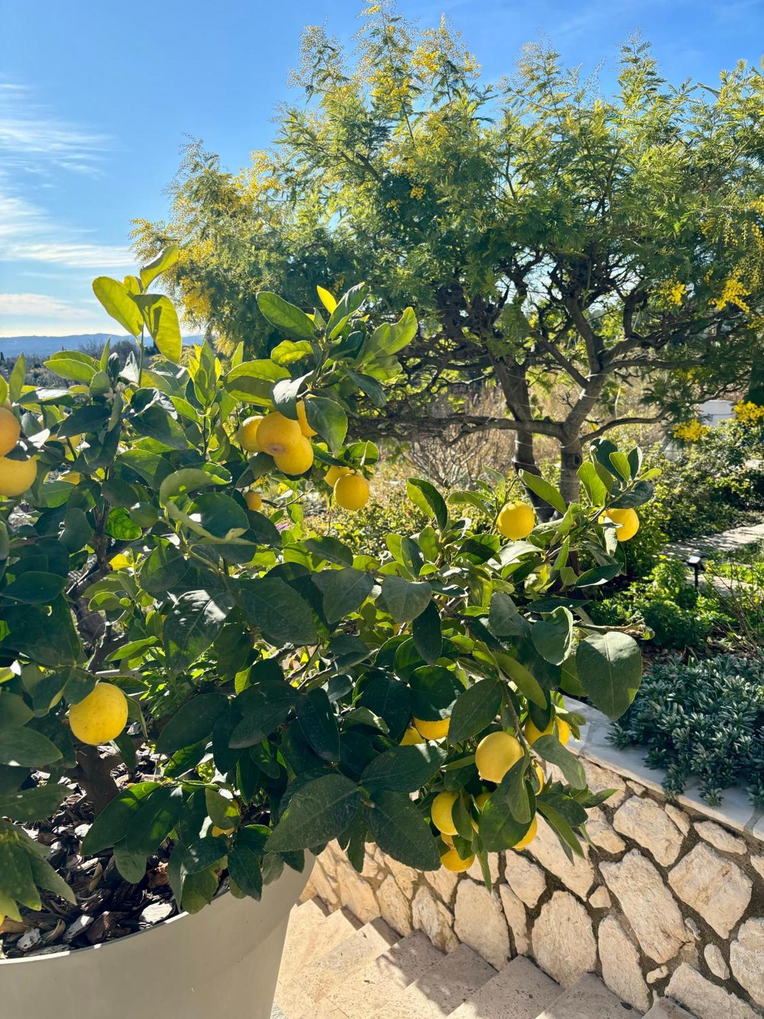 Plein Sud Villa Tourrettes-sur-Loup Exteriör bild